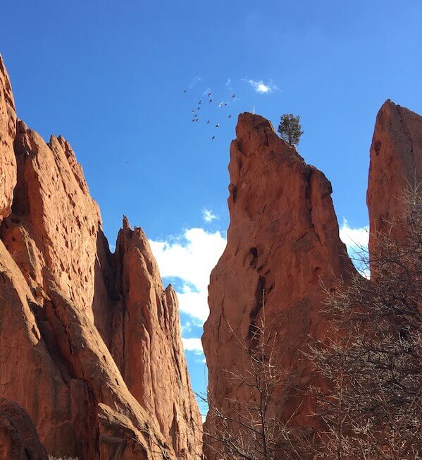 garden-of-gods-colorado