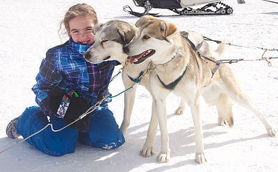 dog sledding