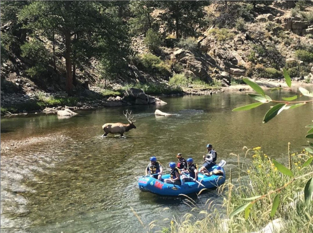 browns canyon national monument Buena Vista & Salida Whitewater Rafting