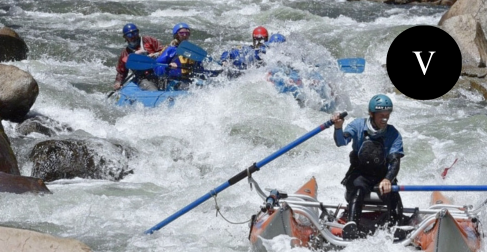 whitewater rafting buena vista colorado the adventure company